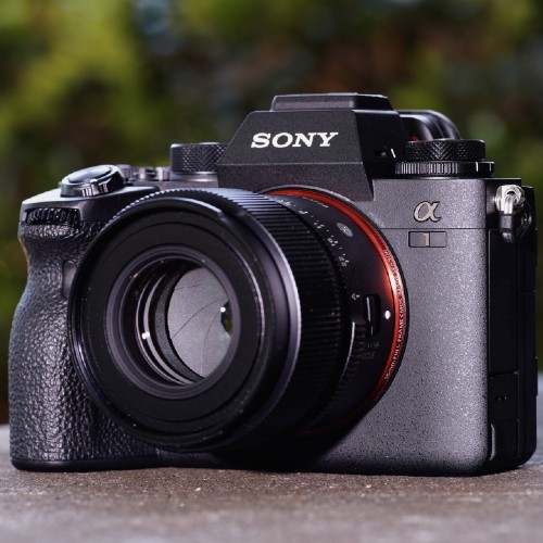 Photospecialist Sony A1 Body